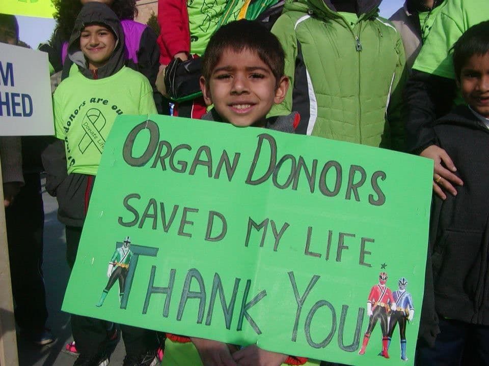 All of the facts you need to know about the great need for organ donor awareness.